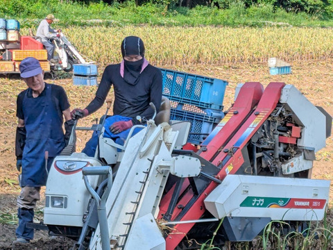 【再販決定！】【限定20個】にんにくの王様　青森にんにく『白玉王』最高規格　特大玉(特別な日・贈答用：500g)