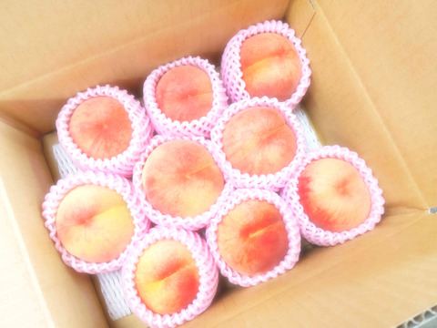 この時期でまだ楽しめる！ おどろき 4kg(2kg×2箱) ご家庭用 山形県産 1箱に6〜13玉入