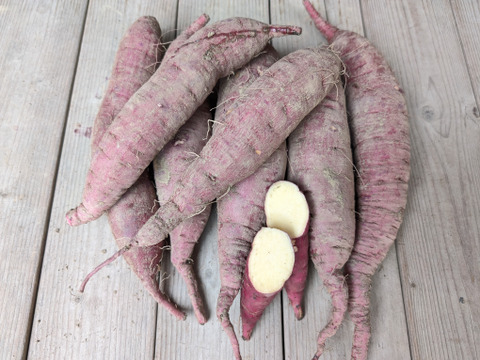 さつまいも　べにはるか 2kg【漢方栽培】