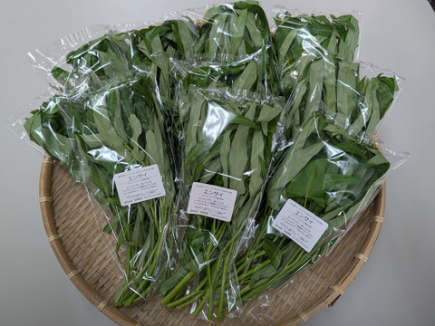 エンサイ（50ｇ×10袋）くせがなくて食べやすい！
