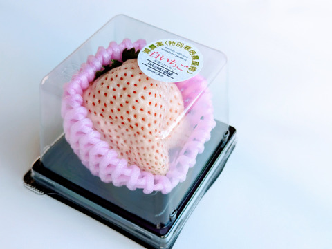 ひと粒の幸せ‼大粒白いちご『天使のいちご®』特別栽培農産物　6個入1箱