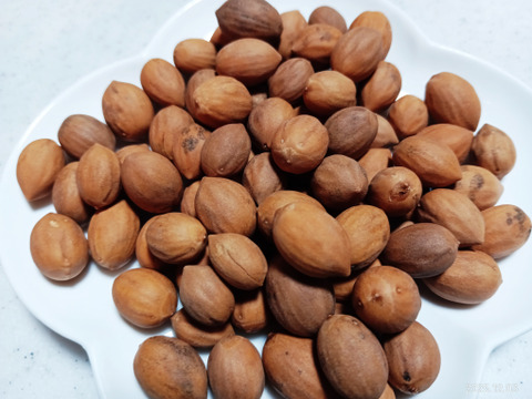 【数量限定 縁起物】榧（かや）の実 漢方 和製アーモンド 自然栽培 しめ飾りにも