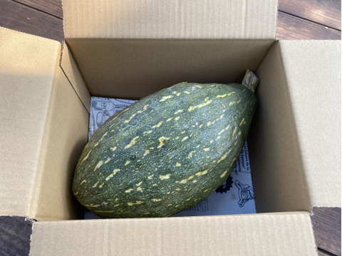 ≪予約販売≫☆有機JAS認証☆万次郎かぼちゃ1個(約2㎏)