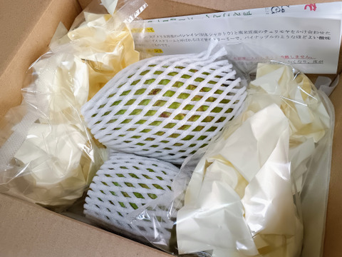 【数量限定】とろける甘さ！稀少な南国フルーツ熊本県産アテモヤ700ｇお試し用