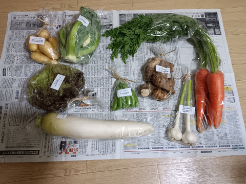 自然栽培野菜一人暮らしの方にオススメセット【7〜9 種類】