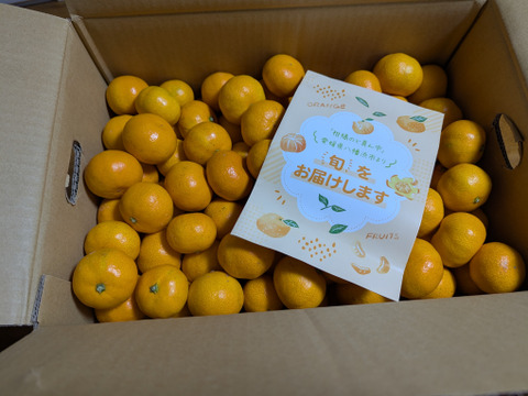 【家庭用】愛媛みかん 11kg(小玉サイズ) ひとくちで恋する♡濃い味みかん♪【冬ギフト】