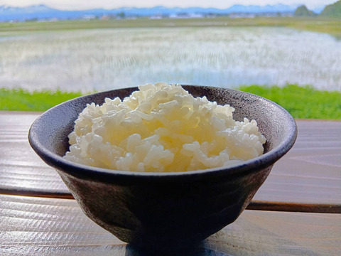 特別栽培米　ななつぼし　分づき米
