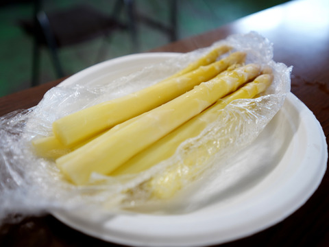限定！！　静岡育ち　ホワイトアスパラガス　２Lサイズ500g