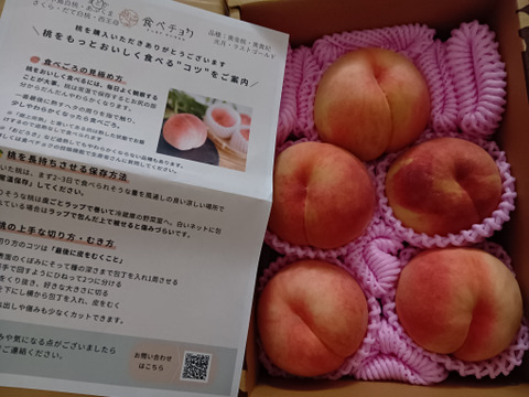 お買得！超訳あり品 【限定100箱】 白桃・黄桃 品種おまかせ 約2㎏（5玉～10玉入り） 8月下旬～9月中旬頃発送 TY01-01-01