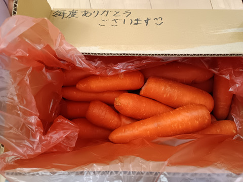訳あり！さつまのにんじん『秋の響き』今年も元気にスタート！　出ました5ｋｇ箱！　冷蔵庫に収まります！
　有機JAS　やわらかく色濃いめ　ジュースやサラダにも！　規格外　画像は10ｋｇです