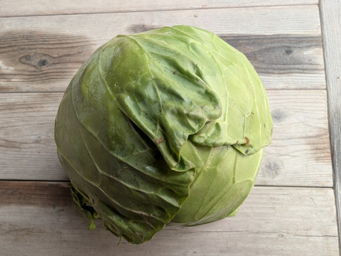 京の旬野菜セット--9種--【漢方栽培】