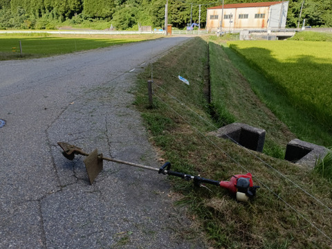 【令和7年度新米】天皇献上米コシヒカリ（特別栽培米）玄米9㎏