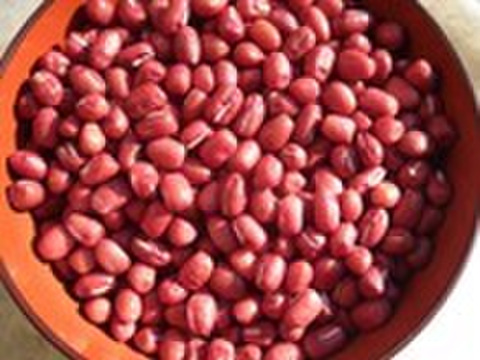 あんこに、お汁粉に♬ 味が濃いと評判の小豆(3kg)1kgよりお得!
