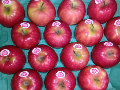キュンとくる酸味りんご❗　ピンクレディー®（12個から16個）箱含め3キロ