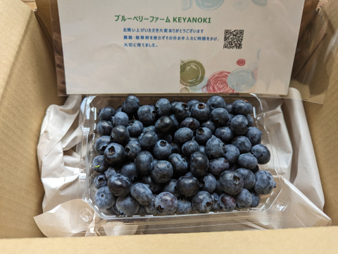 【パリｯ！プリｯ✨甘ｯ】生ブルーベリー品種はミックスで500g
