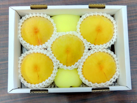 強い甘みと食欲をそそる鮮やかな色合いの「黄金桃」（お試しサイズ・約1.4kg）