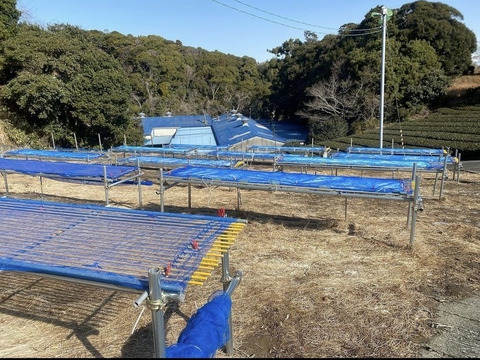 生漬け甘口たくあん（4袋）＆切り干し大根（2袋）の大根満喫セット