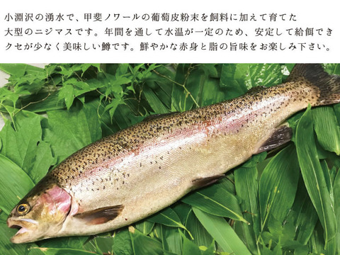 【1点限り！山梨県産ブランド鱒】お刺身で食べられる「甲州ワイン鱒フィレ約1.7kg」!