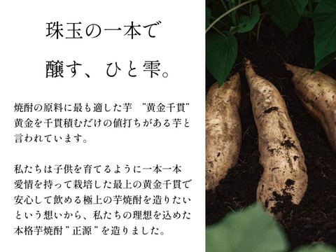 【福袋2025】5500円セット（本格芋焼酎1本＋冷やし焼き芋1本）｜期間限定販売