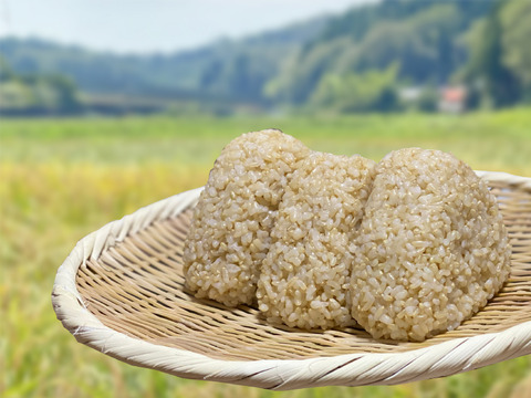 【農薬・化学肥料不使用】 コシヒカリ玄米10㎏<有機JAS認証(転換期間中)>『加賀米野菜基地』