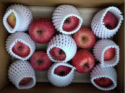 栽培期間中肥料・農薬不使用のフジ約2.5kg 小玉