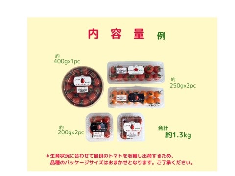 【お得！5種類おまかせパック】
  農薬不使用    ミニトマト1.3kg