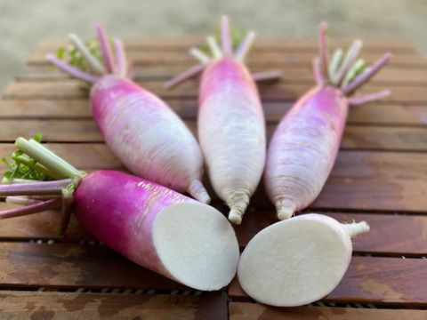 【期間限定】カラダ喜ぶ『Mサイズ冬のカラフル野菜セット8品目』