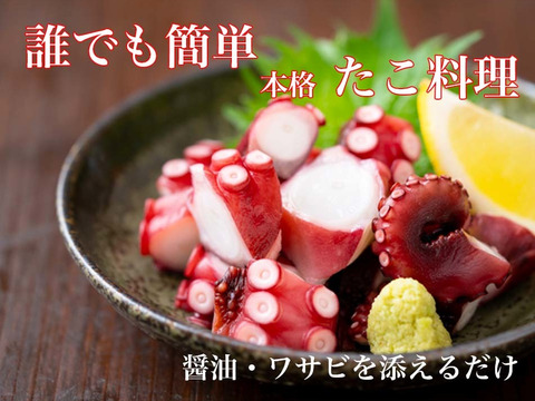 王道だけど一味違う 極上 たこぶつ 愛知 日間賀島たこ 500g 愛知県産 食べチョク 農家 漁師の産直ネット通販 旬の食材を生産者直送
