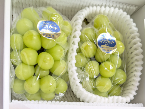 樹上完熟！岡山県備前市産びぜん葡萄【シャインマスカット】約1kg（2房前後）