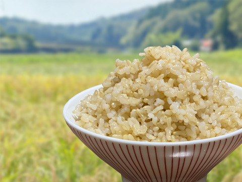 【農薬・化学肥料不使用】R4年産「コシヒカリ」玄米5㎏<有機JAS認証>『加賀米野菜基地』