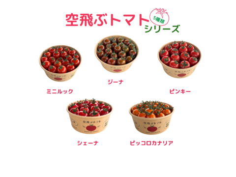 【お得！5種類おまかせパック】
  農薬不使用    ミニトマト1.3kg