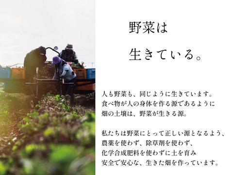 【福袋2025】8888円セット（本格芋焼酎1本＋平干し芋3袋＋冷やし焼き芋2本）｜期間限定販売