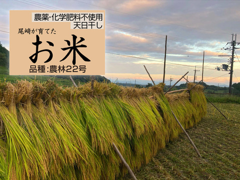 ◆令和7年新米◆農薬化学肥料不使用・天日干し◆白米粒が光る最高級棚田米 農林22号 滋賀県大津産 玄米4kg
