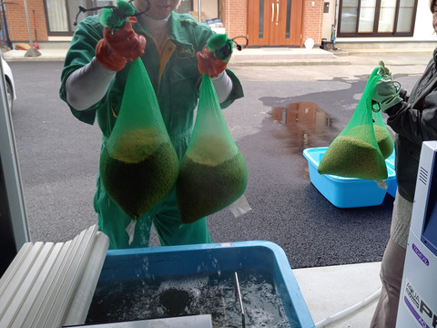 有機JAS認証　自然農法ササニシキ10㎏