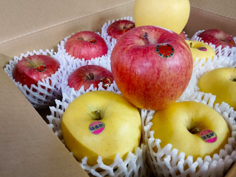 【岩手・紫波町】🍎🍏特別栽培「サンふじ」「はるか」の詰め合わせ（家庭用5kg・14玉）　これで最後です！