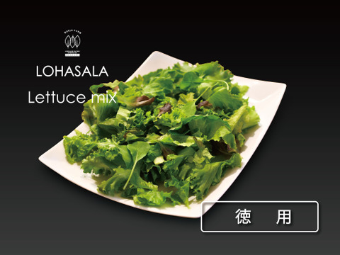 【徳用】菌数管理栽培野菜 LOHASALA レタスミックスセット (500g×2パック) 洗わずに食べられる魅力満載のサスティナブル新野菜☆☆【LED施設栽培野菜】