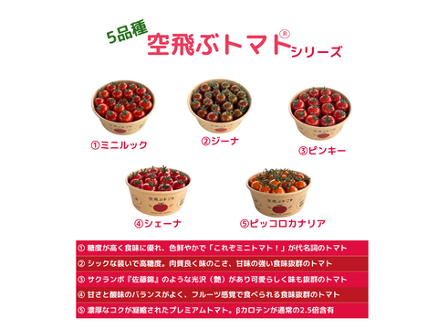 【お得！5種類おまかせパック】
  農薬不使用    ミニトマト1.3kg