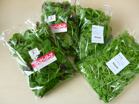 おまかせ葉物野菜（100ｇ×2）と有機JAS認証ベビーリーフ（200g） のセット