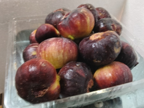 大容量パック　兵庫産 ご家庭用　イチジク　800ｇ