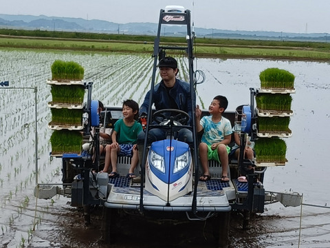 【ひー様専用商品】有機JAS認証　有機ササニシキ分づき精米10㎏