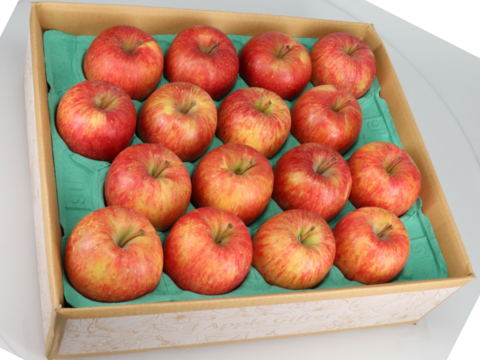 【ジューシー&甘味】味重視の方へ！個性豊かなイチ押しりんごギフト🍎 / 葉取らずサンふじ14~20玉（5kg）