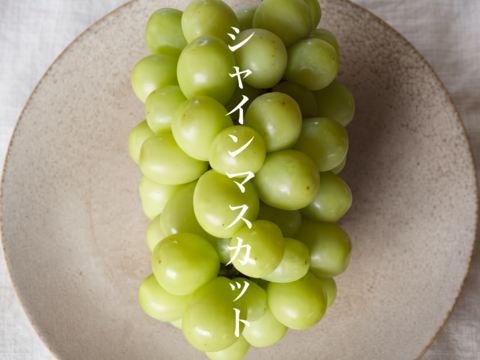 2027年発送】【糖度18度以上】【大粒大房】【朝どれ】シャイン
