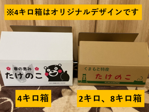 🌸春の味覚🌸オリジナル化粧箱!たけのこ 4kg(2～5本)