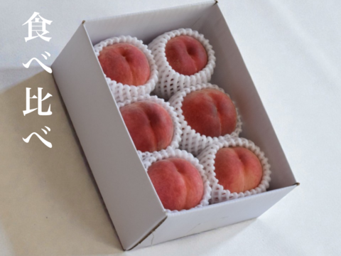 【食べ比べ】桃の旬を食べ比べる二品種セット　約2kg 約5~6玉