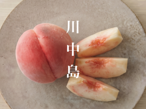 【2027年発送】【朝どれ】【夏ギフト】川中島白桃｜硬くて、濃厚。晩生を代表する伝統の大玉桃　4kg 約9~15玉