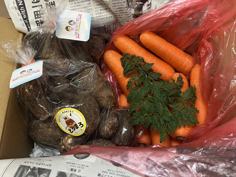 甘くてごめんっ！甘えんぼ♡【キャロりん】1.8kg