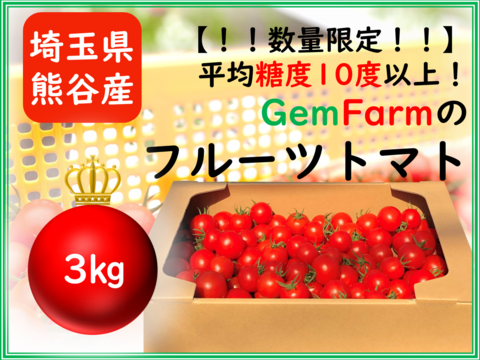 【数量限定】平均糖度10度以上！珠玉のフルーツトマト（3kg）