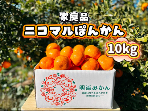 【愛媛県産】季節限定　甘味がギュッと詰まったポンカン　家庭用　10ｋｇ