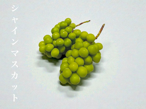 【はじける香り！甘ジューシー】南アルプス産＜大粒大房＞シャインマスカット3房