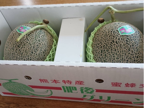 糖度16以上！甘くて爽やかな味のメロン二個セット(1.8〜2.0kg×2個)